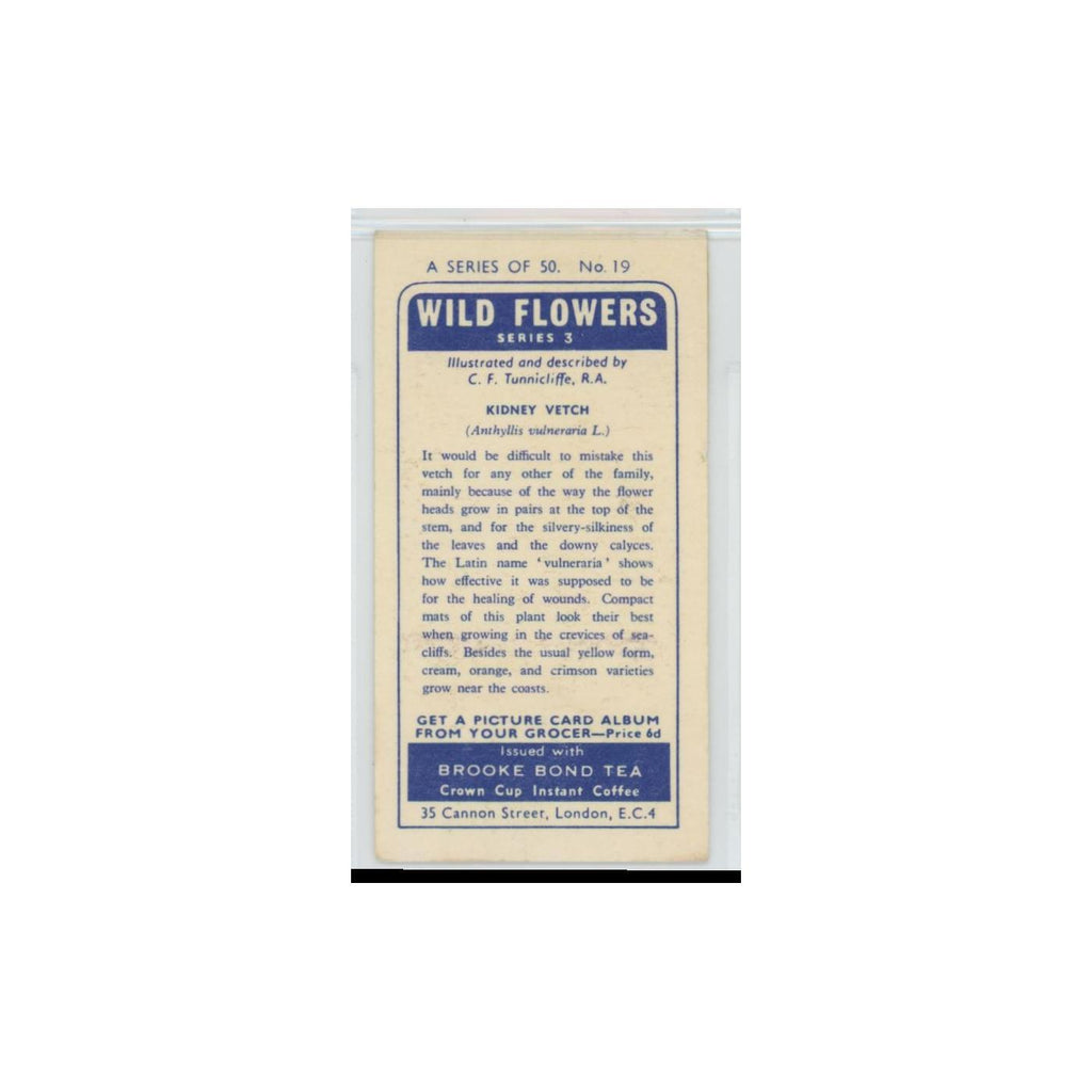 1964 Booke Bond Wild Flowers Series 3 Kidney Vetch #19.0