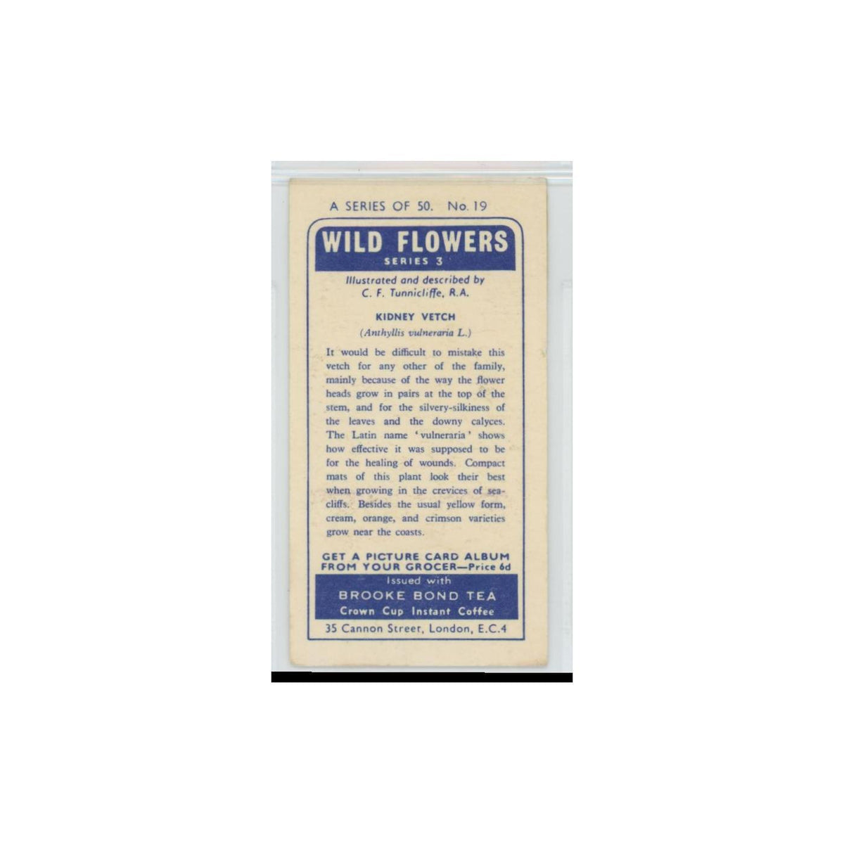 1964 Booke Bond Wild Flowers Series 3 Kidney Vetch #19.0