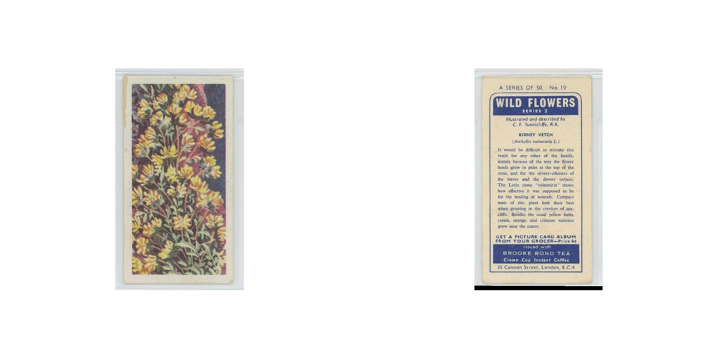 1964 Booke Bond Wild Flowers Series 3 Kidney Vetch #19.0