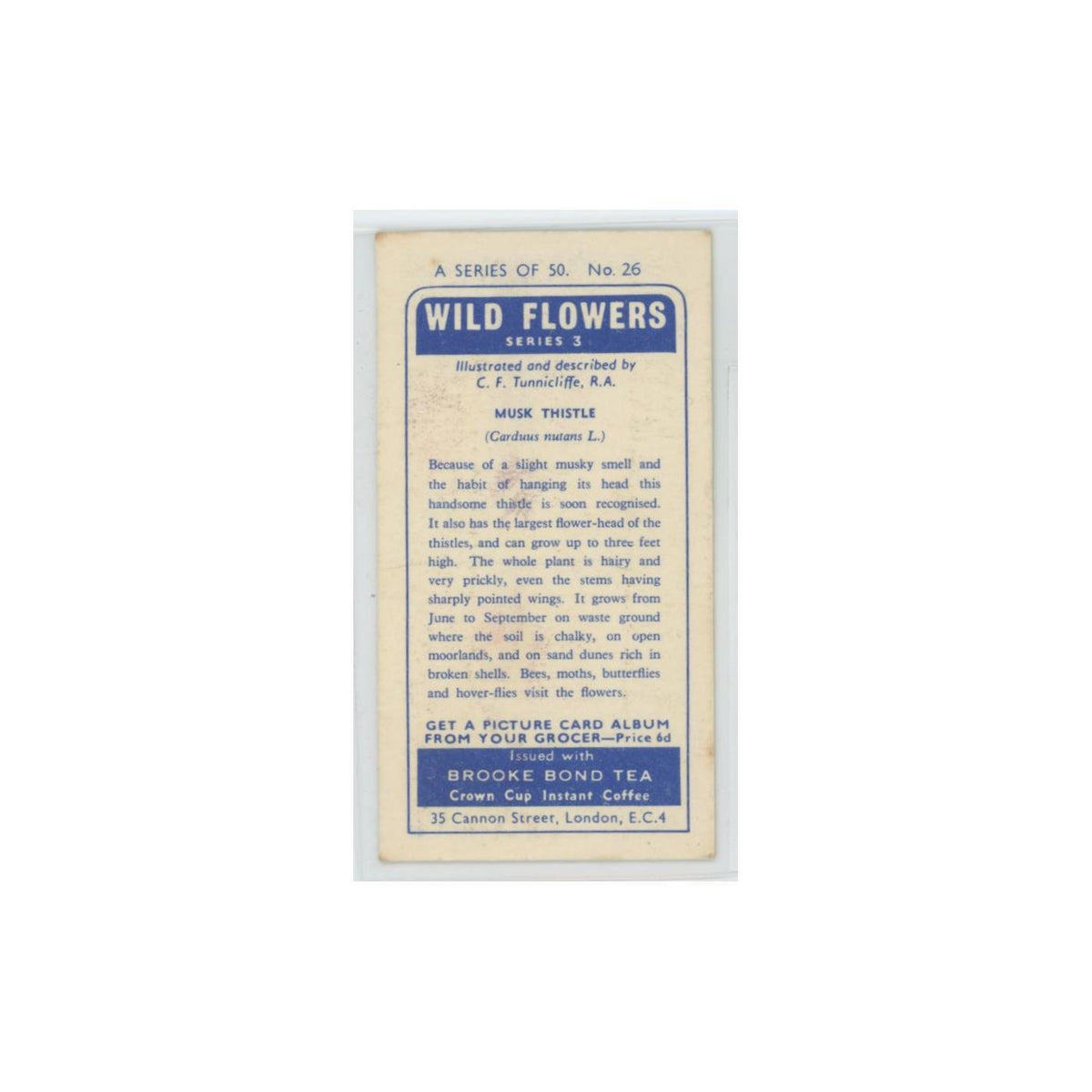 1964 Booke Bond Wild Flowers Series 3 Musk Thistle #26.0