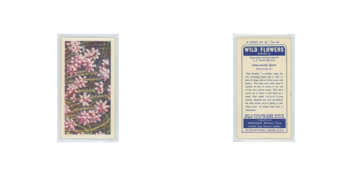 1964 Booke Bond Wild Flowers Series 3 Cross-Leaved Heath #39.0
