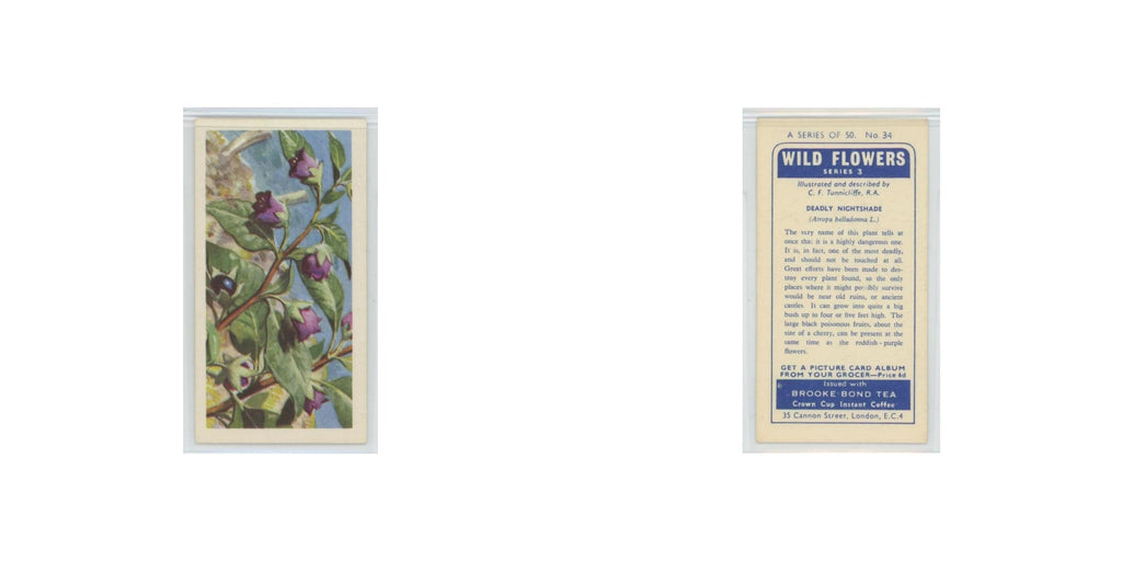1964 Booke Bond Wild Flowers Series 3 Deadly Nightshade #34.0