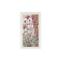 1964 Booke Bond Wild Flowers Series 3 Greater Knapweed #44.0