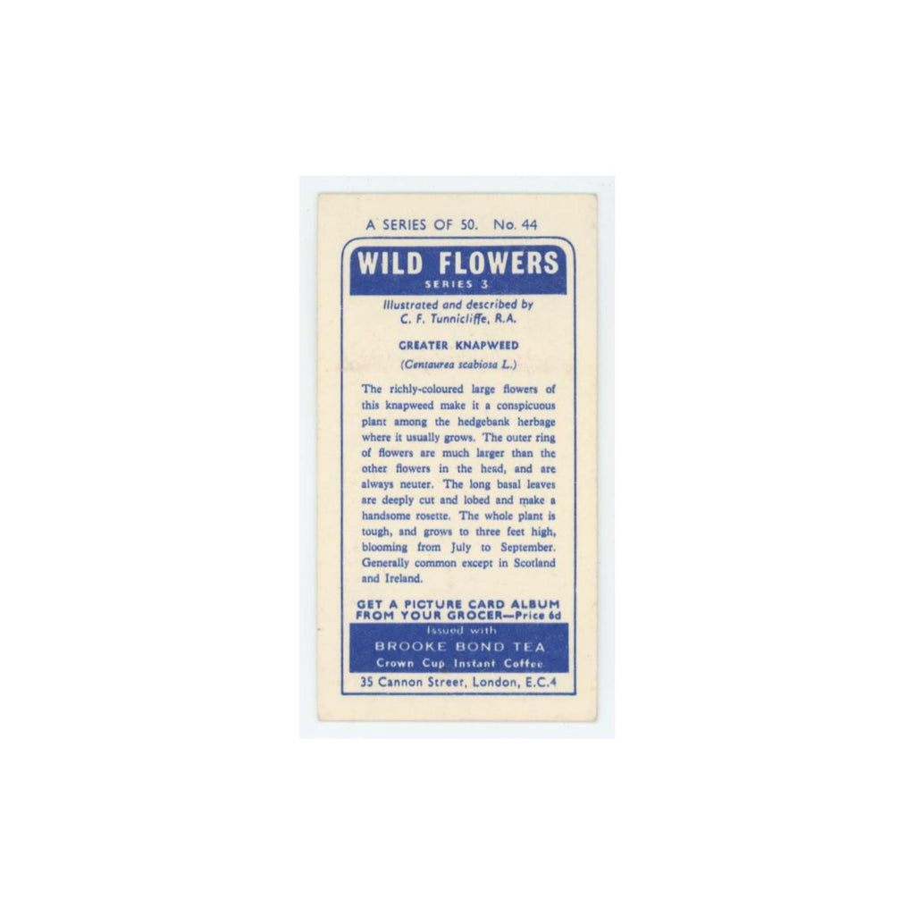 1964 Booke Bond Wild Flowers Series 3 Greater Knapweed #44.0