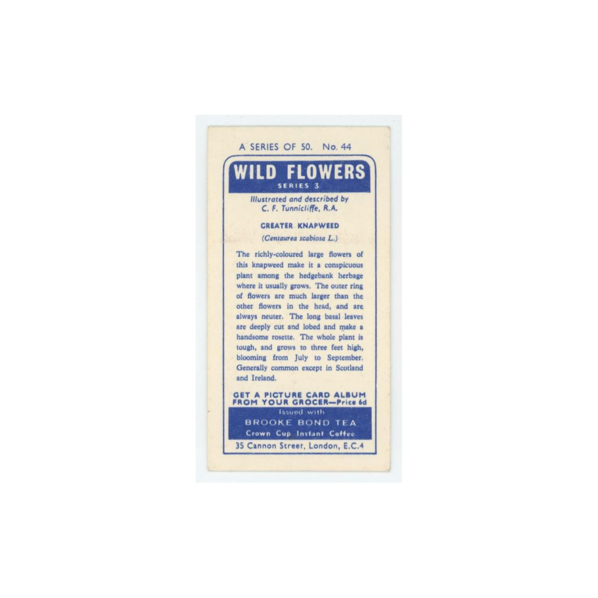 1964 Booke Bond Wild Flowers Series 3 Greater Knapweed #44.0