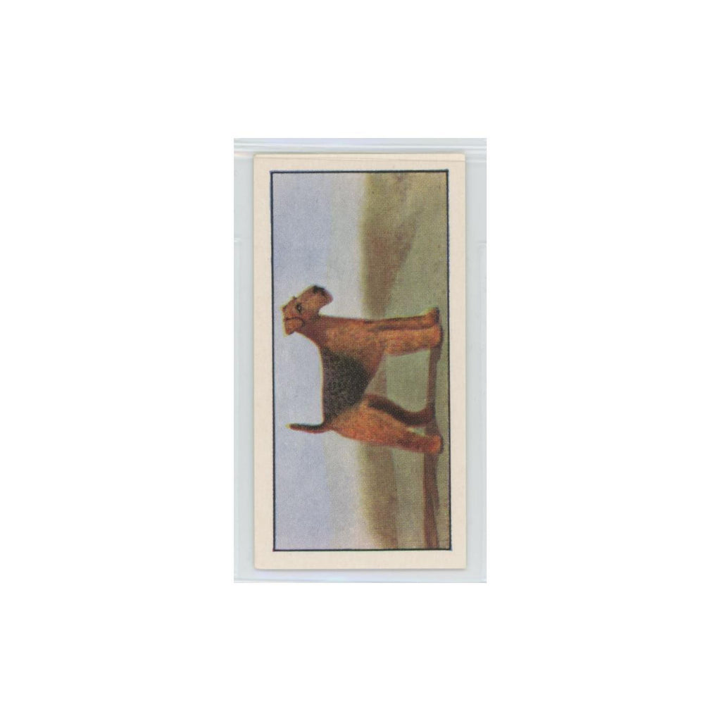 1961 Barbers Teas Dogs Airedale Terrier #17.0