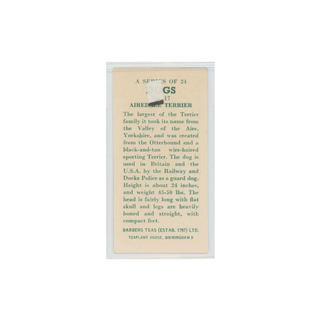 1961 Barbers Teas Dogs Airedale Terrier #17.0