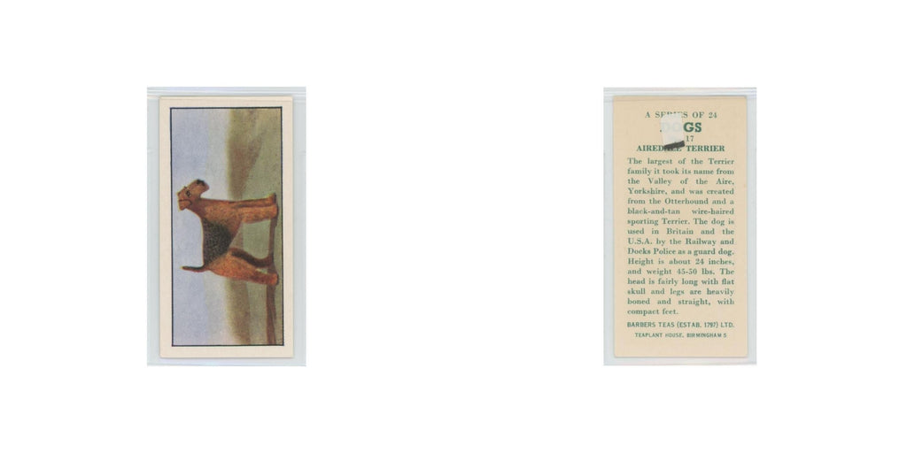 1961 Barbers Teas Dogs Airedale Terrier #17.0