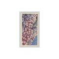 1964 Booke Bond Wild Flowers Series 3 English Stonecrop #28.0