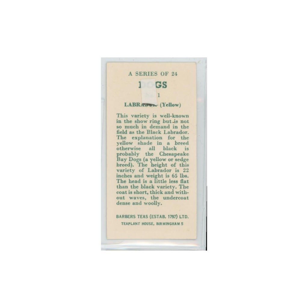 1961 Barbers Teas Dogs Labrador Yellow #1.0