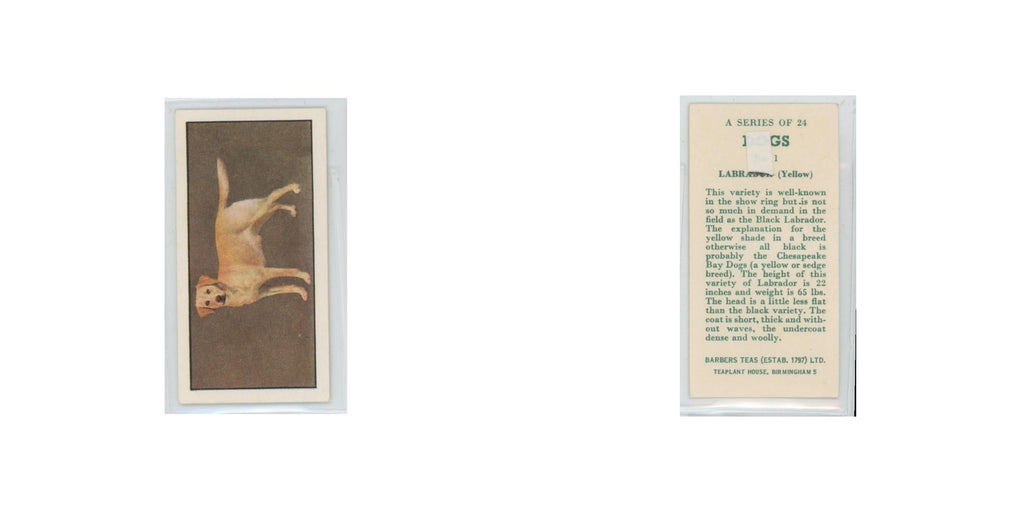 1961 Barbers Teas Dogs Labrador Yellow #1.0