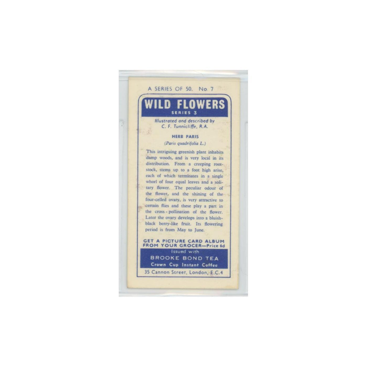 1964 Booke Bond Wild Flowers Series 3 Herb Paris #7.0