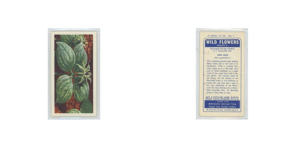 1964 Booke Bond Wild Flowers Series 3 Herb Paris #7.0