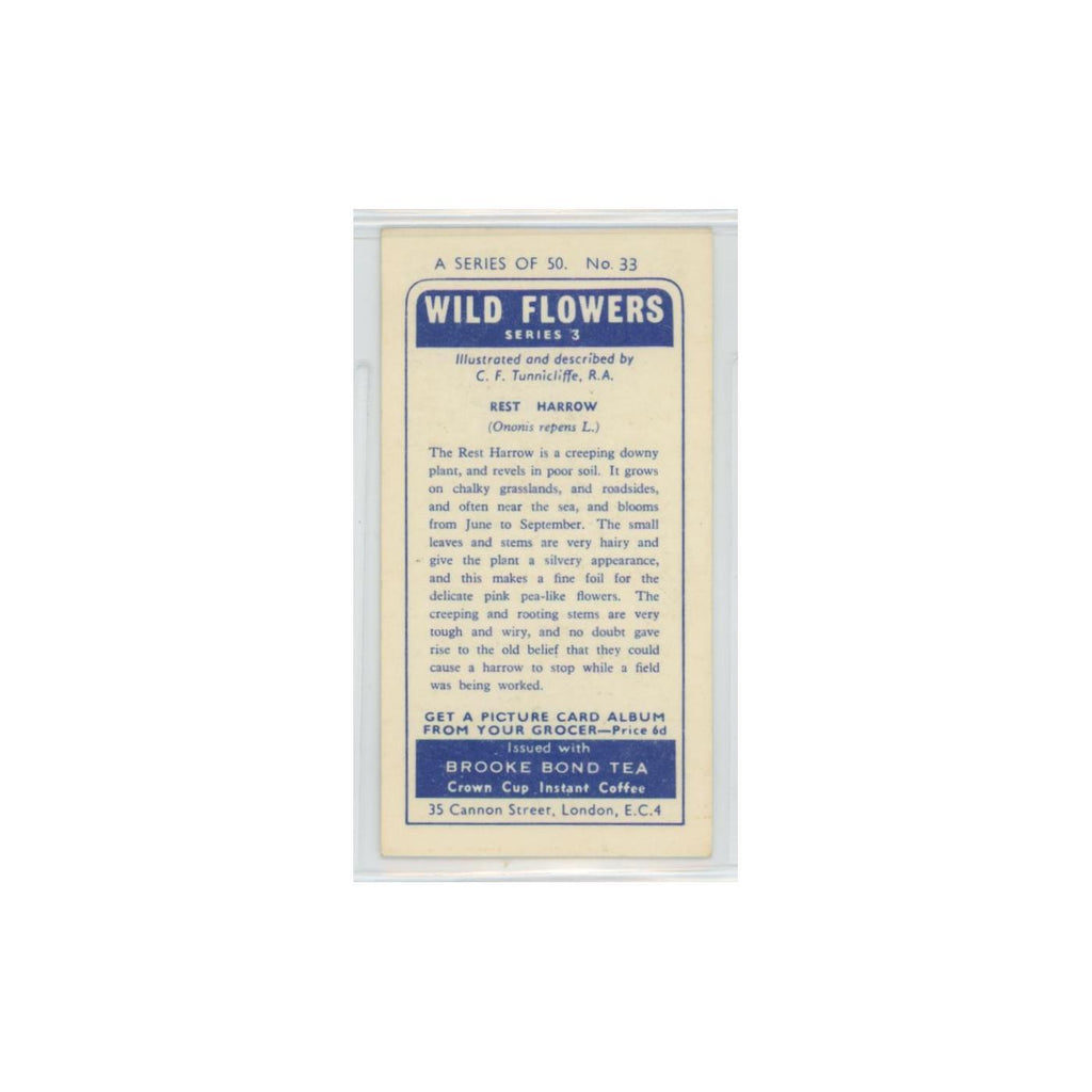 1964 Booke Bond Wild Flowers Series 3 Rest Harrow #33.0