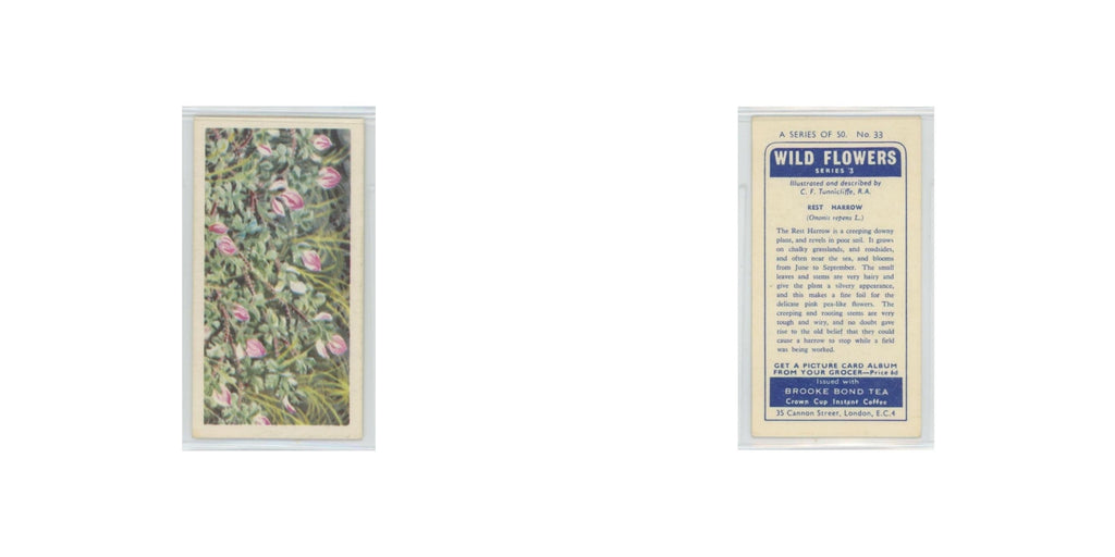 1964 Booke Bond Wild Flowers Series 3 Rest Harrow #33.0