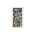 1964 Booke Bond Wild Flowers Series 3 Nettle-Leaved Bellflower #48.0