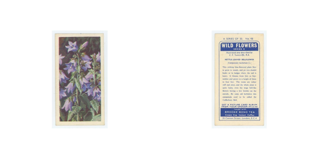 1964 Booke Bond Wild Flowers Series 3 Nettle-Leaved Bellflower #48.0