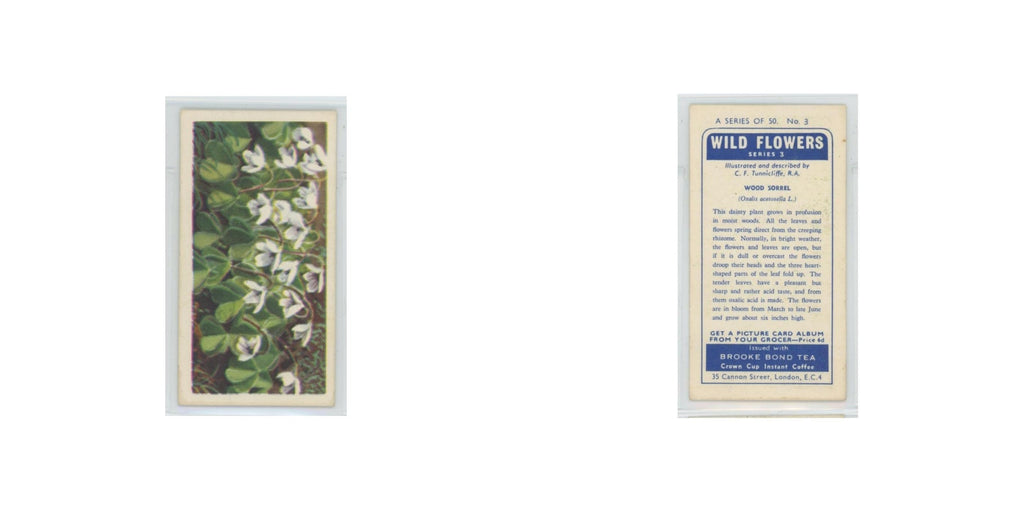 1964 Booke Bond Wild Flowers Series 3 Wood Sorrel #3.0