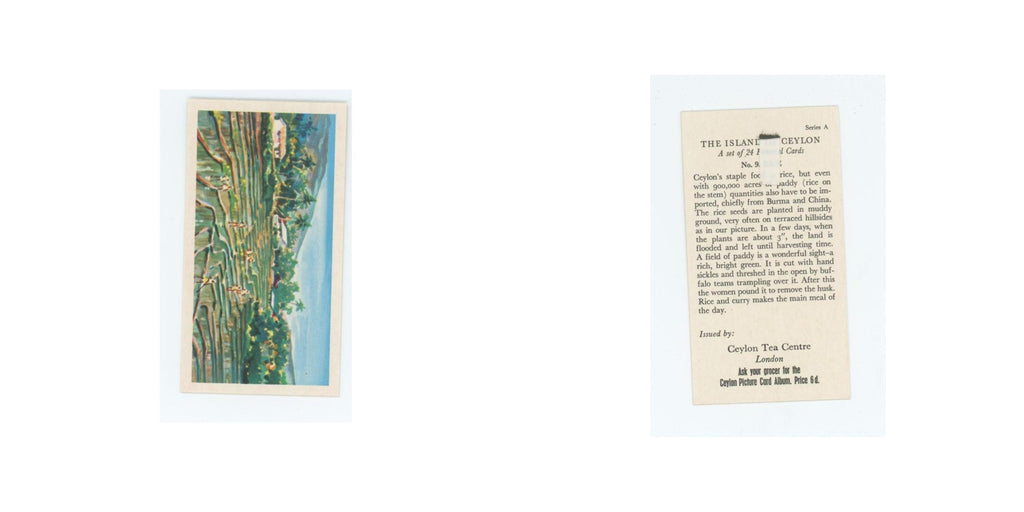 1955 Ceylon Tea Island of Ceylon Rice #9.0