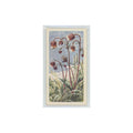 1964 Booke Bond Wild Flowers Series 3 Water Avens #14.0