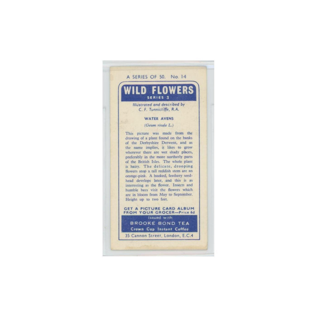 1964 Booke Bond Wild Flowers Series 3 Water Avens #14.0