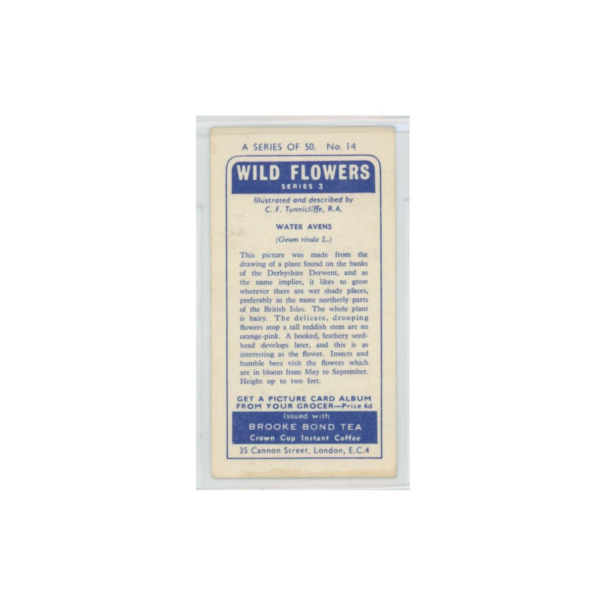 1964 Booke Bond Wild Flowers Series 3 Water Avens #14.0