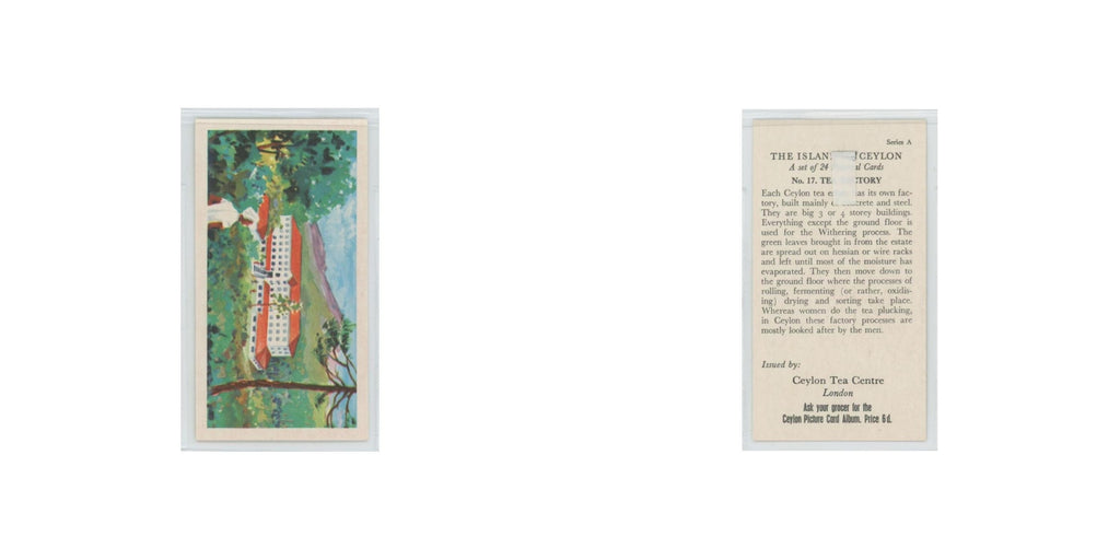 1955 Ceylon Tea Island of Ceylon Tea Factory #17.0