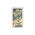 1959 Brooke Bond Wild Flowers Series 2 Carline Thistle #48.0