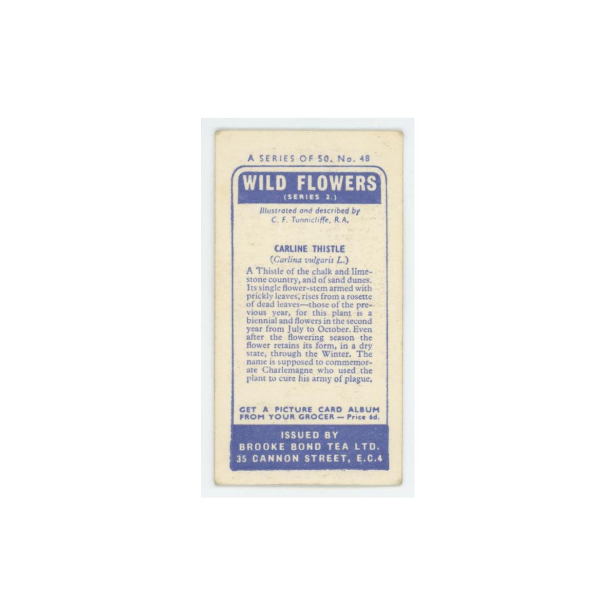 1959 Brooke Bond Wild Flowers Series 2 Carline Thistle #48.0