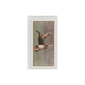 1961 Barbers Teas Dogs Foxhound #nan