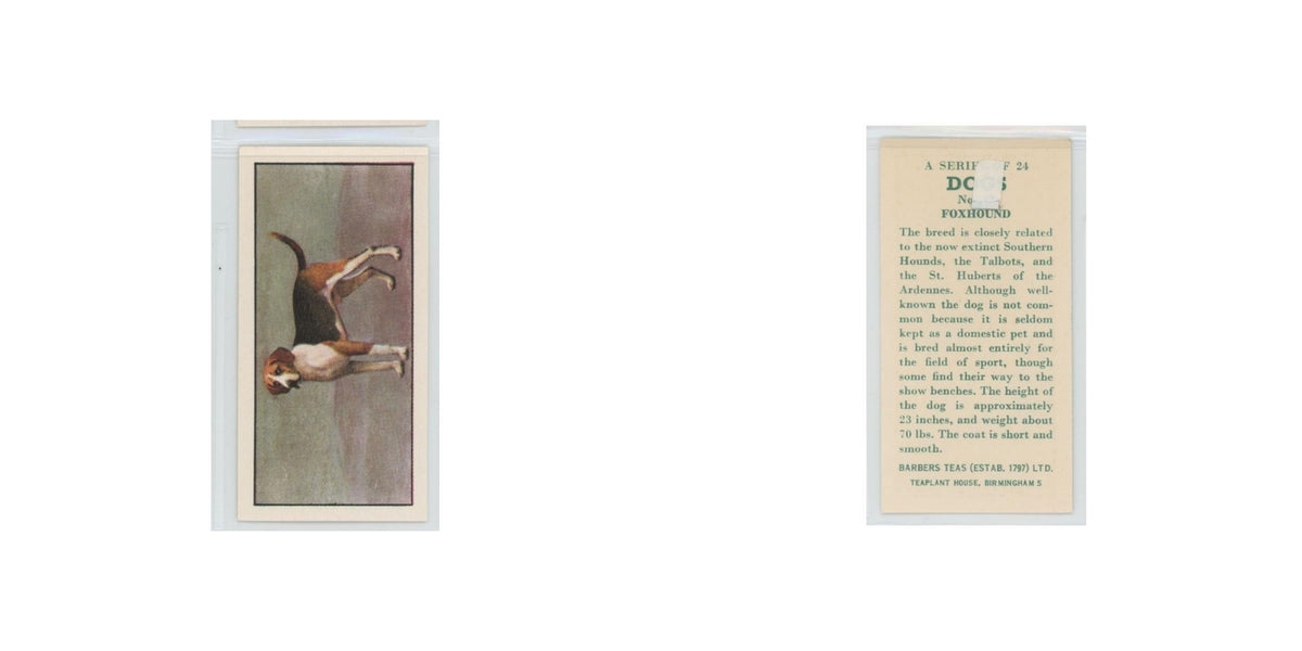 1961 Barbers Teas Dogs Foxhound #nan