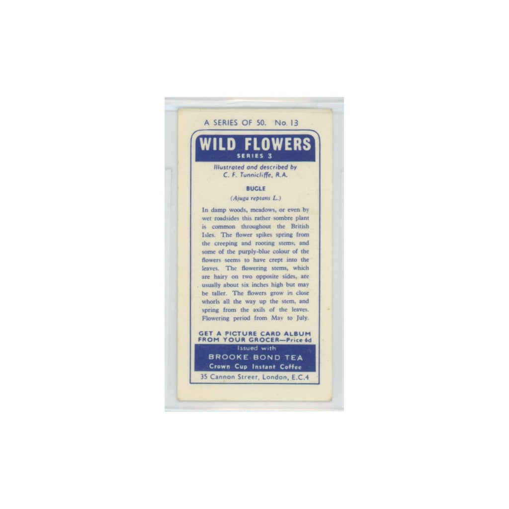 1964 Booke Bond Wild Flowers Series 3 Bugle #13.0