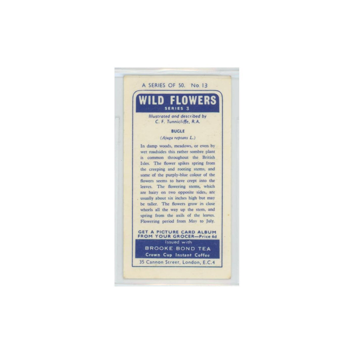 1964 Booke Bond Wild Flowers Series 3 Bugle #13.0