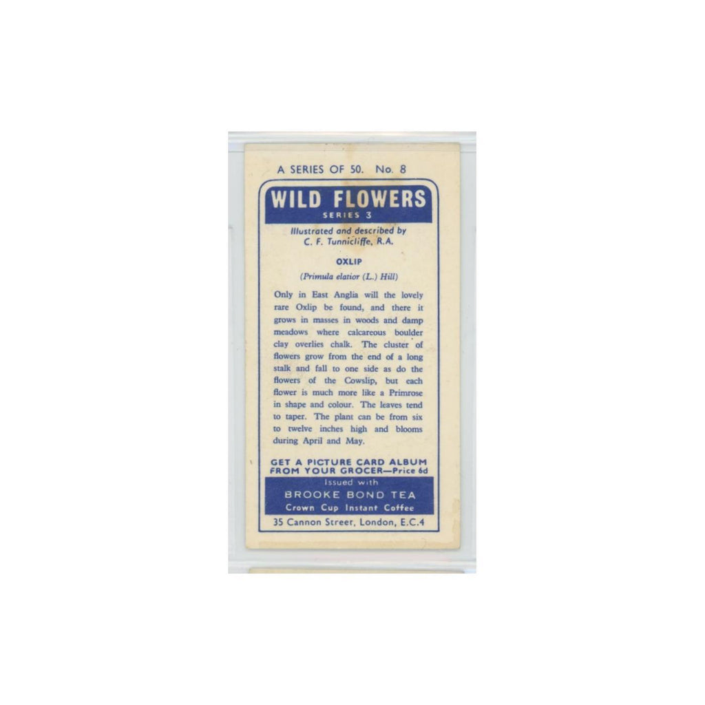 1964 Booke Bond Wild Flowers Series 3 Oxlip #8.0