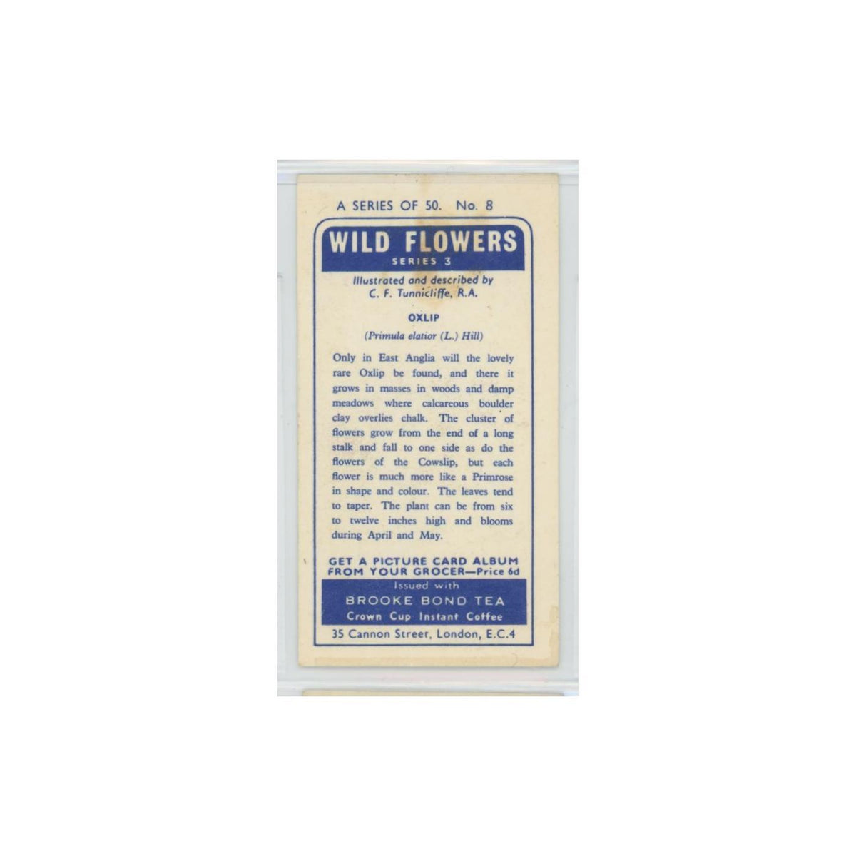 1964 Booke Bond Wild Flowers Series 3 Oxlip #8.0