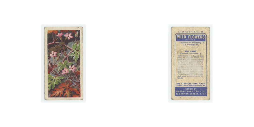 1959 Brooke Bond Wild Flowers Series 2 Herb Robert #39.0