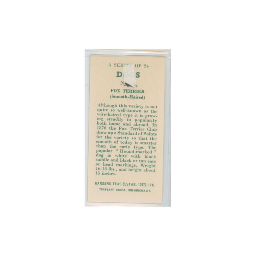 1961 Barbers Teas Dogs Fox Terrier Smooth Haired #nan
