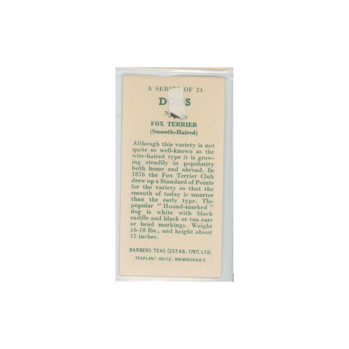 1961 Barbers Teas Dogs Fox Terrier Smooth Haired #nan