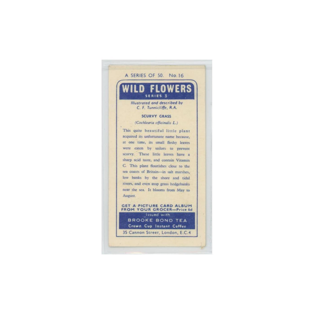 1964 Booke Bond Wild Flowers Series 3 Scurvy Grass #16.0