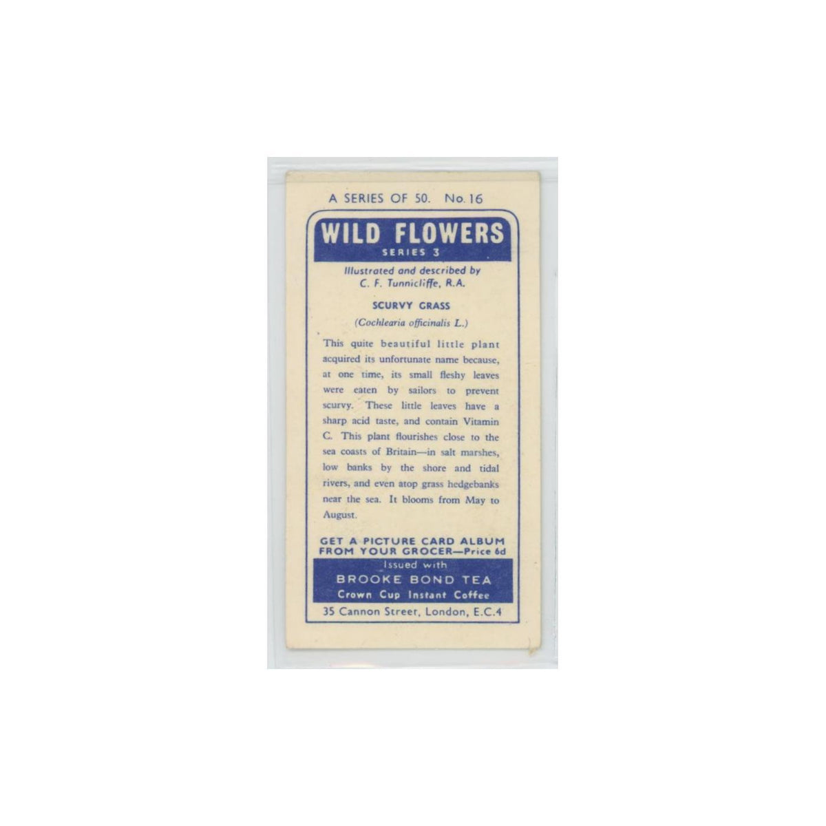 1964 Booke Bond Wild Flowers Series 3 Scurvy Grass #16.0