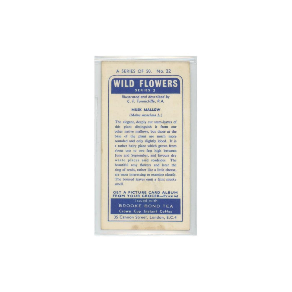 1964 Booke Bond Wild Flowers Series 3 Musk Mallow #32.0