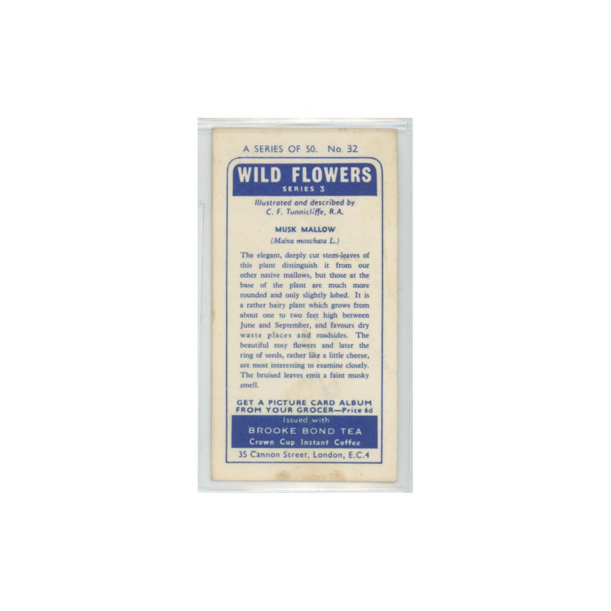 1964 Booke Bond Wild Flowers Series 3 Musk Mallow #32.0