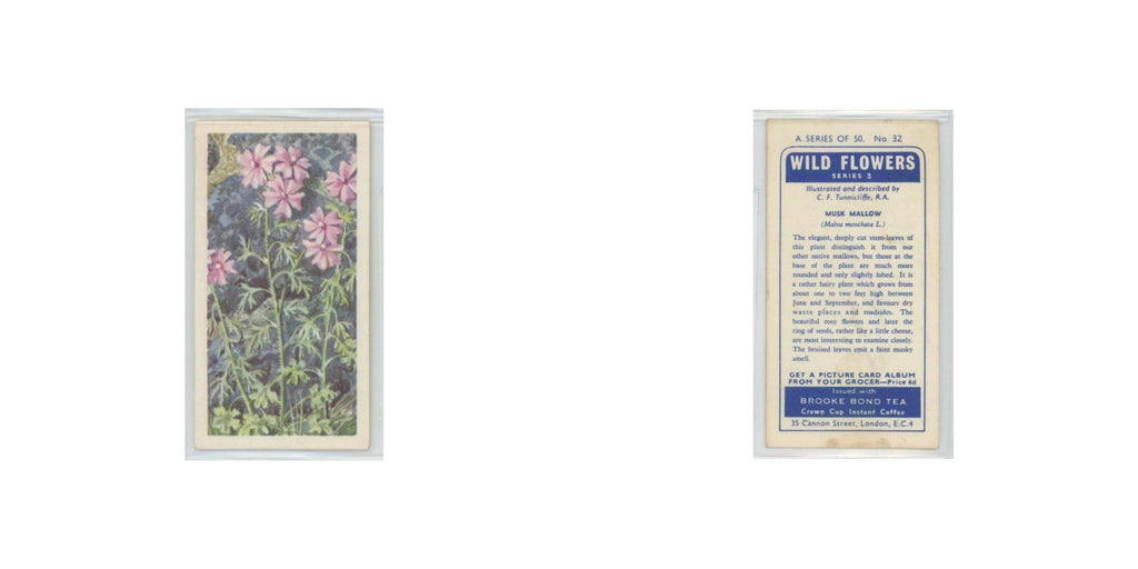1964 Booke Bond Wild Flowers Series 3 Musk Mallow #32.0