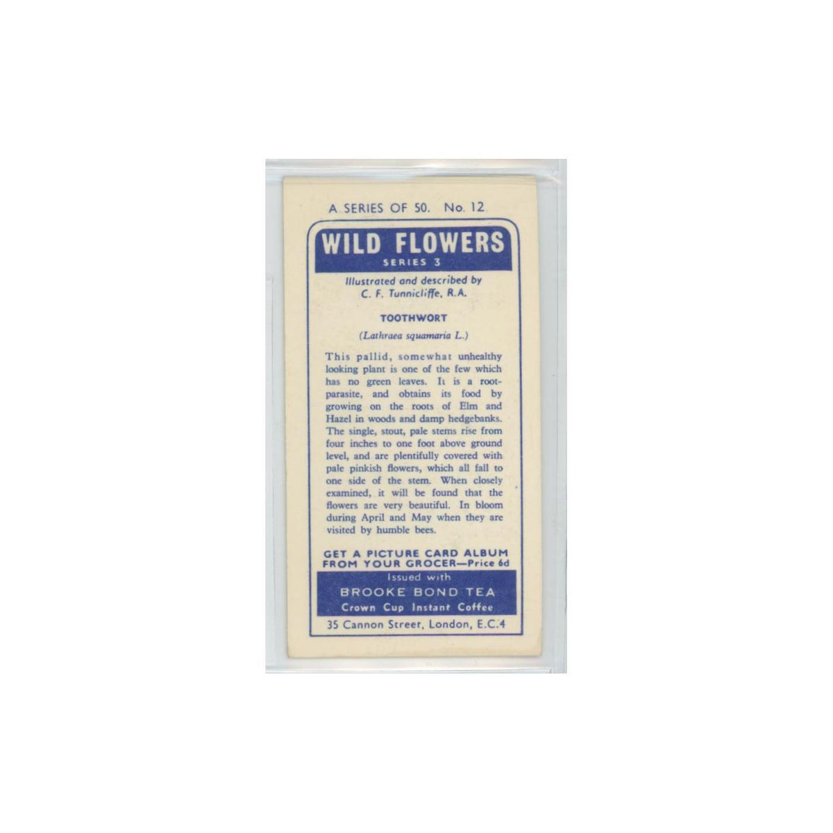 1964 Booke Bond Wild Flowers Series 3 Toothwort #12.0