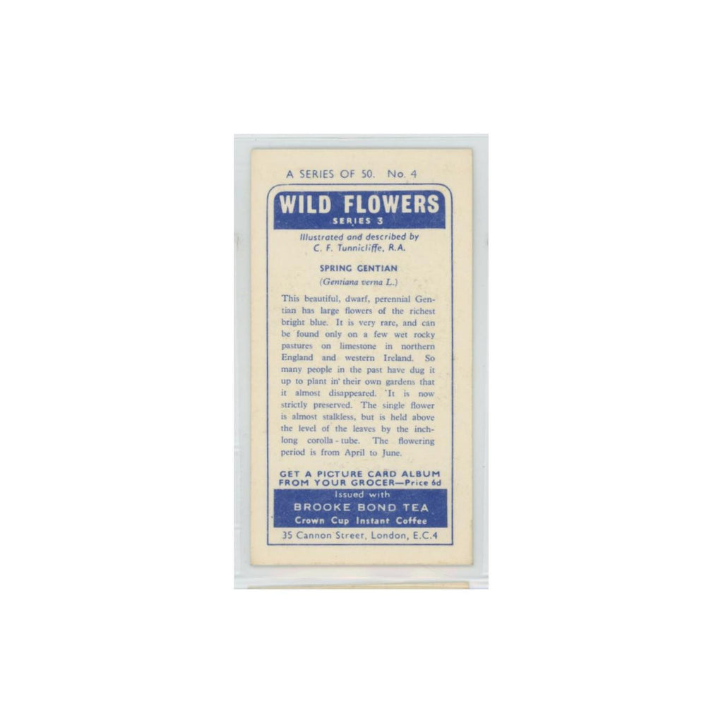 1964 Booke Bond Wild Flowers Series 3 Spring Gentian #4.0