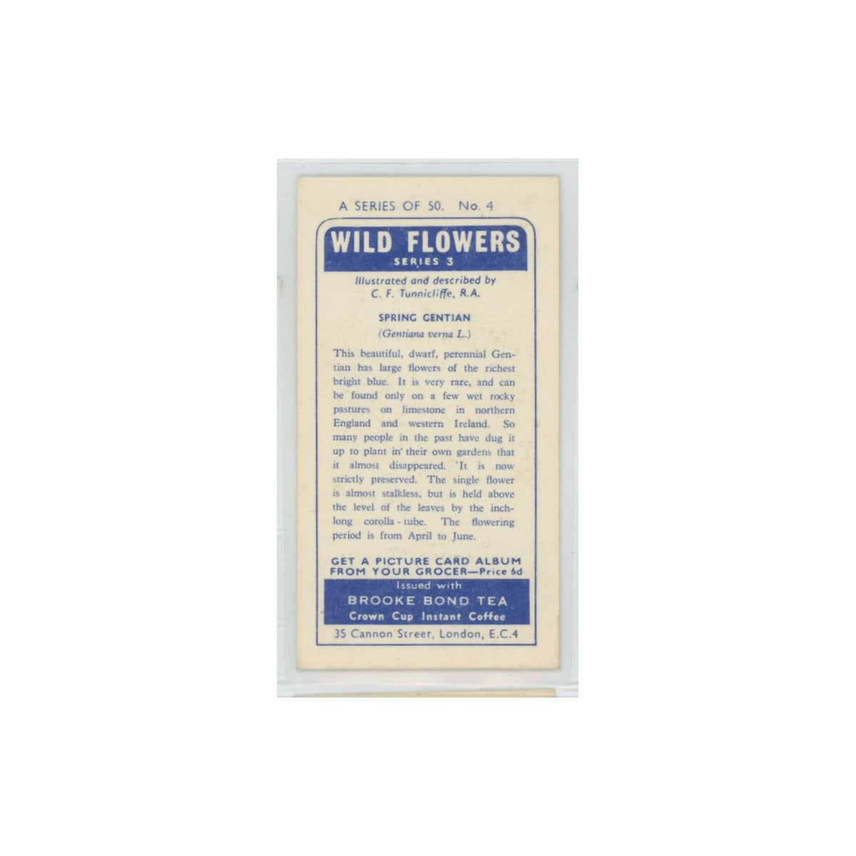 1964 Booke Bond Wild Flowers Series 3 Spring Gentian #4.0