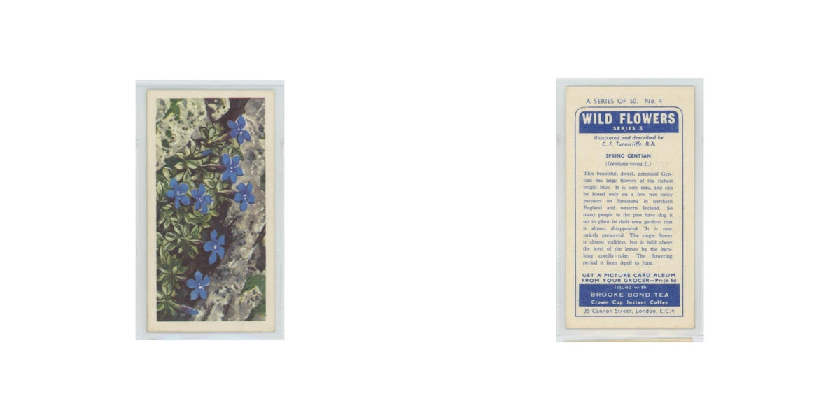 1964 Booke Bond Wild Flowers Series 3 Spring Gentian #4.0