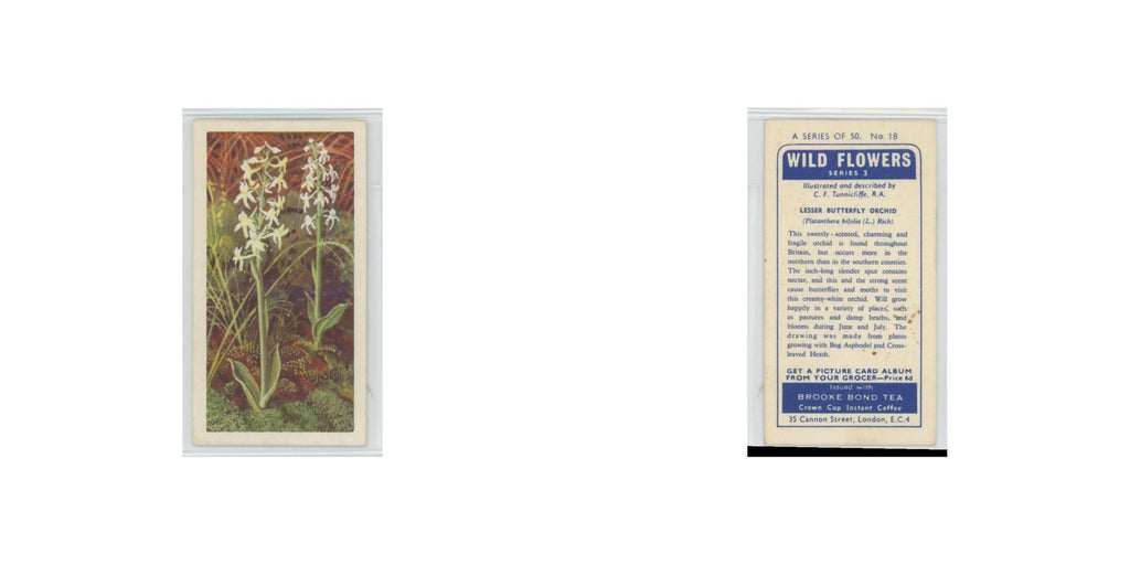 1964 Booke Bond Wild Flowers Series 3 Lesser Butterfly Orchid #18.0