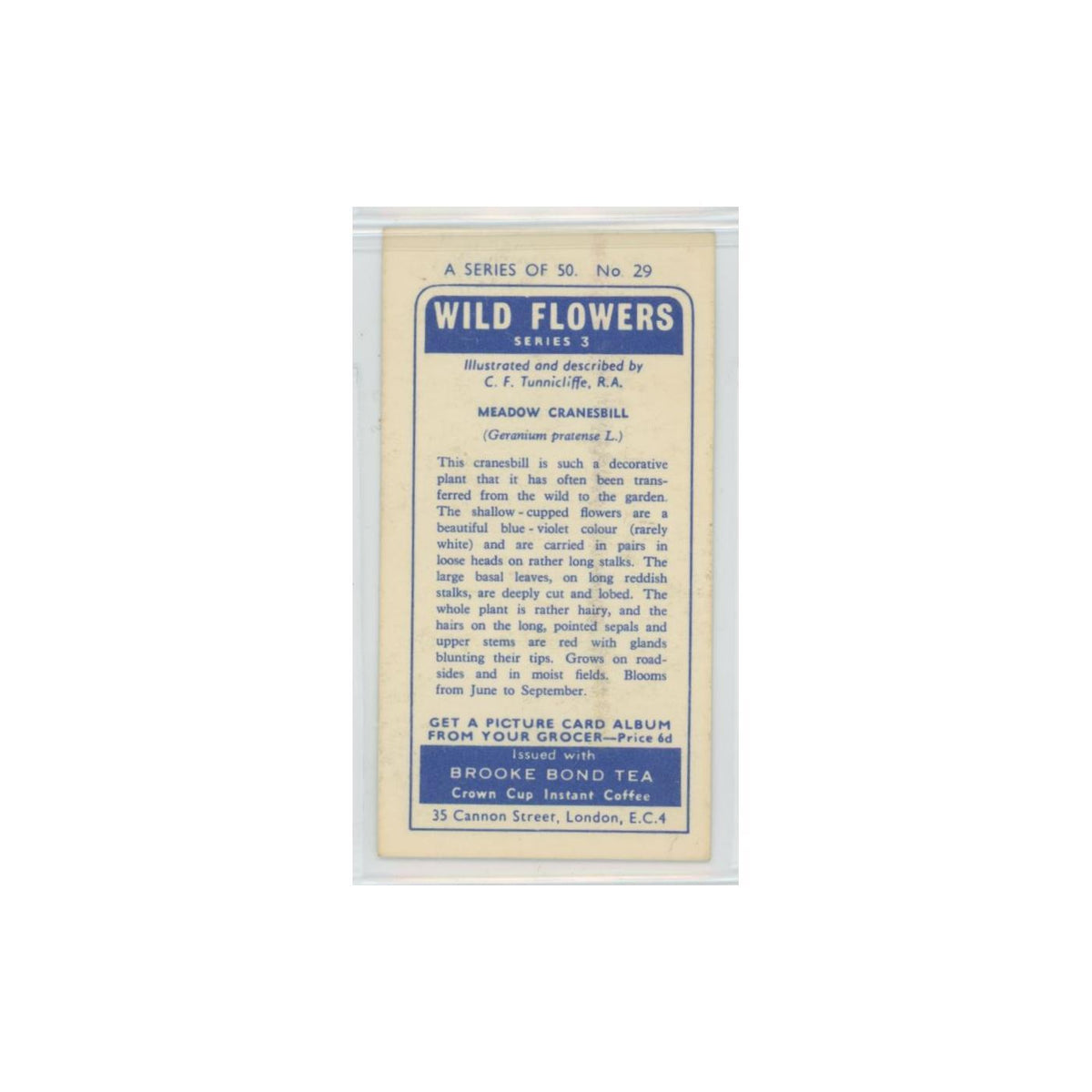 1964 Booke Bond Wild Flowers Series 3 Meadow Cranesbill #29.0