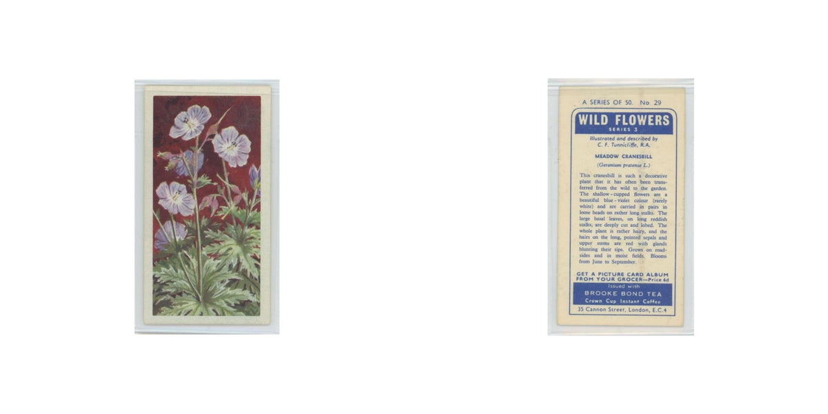 1964 Booke Bond Wild Flowers Series 3 Meadow Cranesbill #29.0